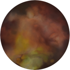 "Blink and you will miss it.&rdquo;, &Ouml;l auf Leinwand, Tondo